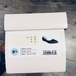 Pointed Ballet Flats- NWOT!!